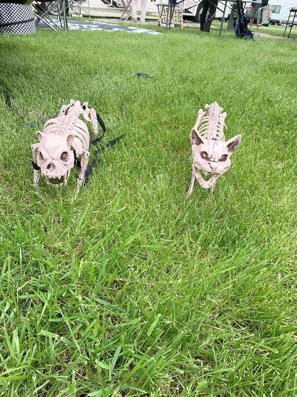 Skeletons